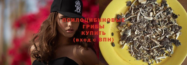 не бодяженный Алзамай