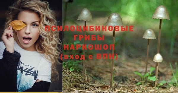 не бодяженный Алзамай